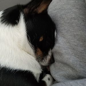 Meet your Posher, Monica